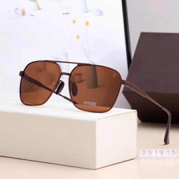 Louis Vuitton 201903 travel Polarized Sunglasses